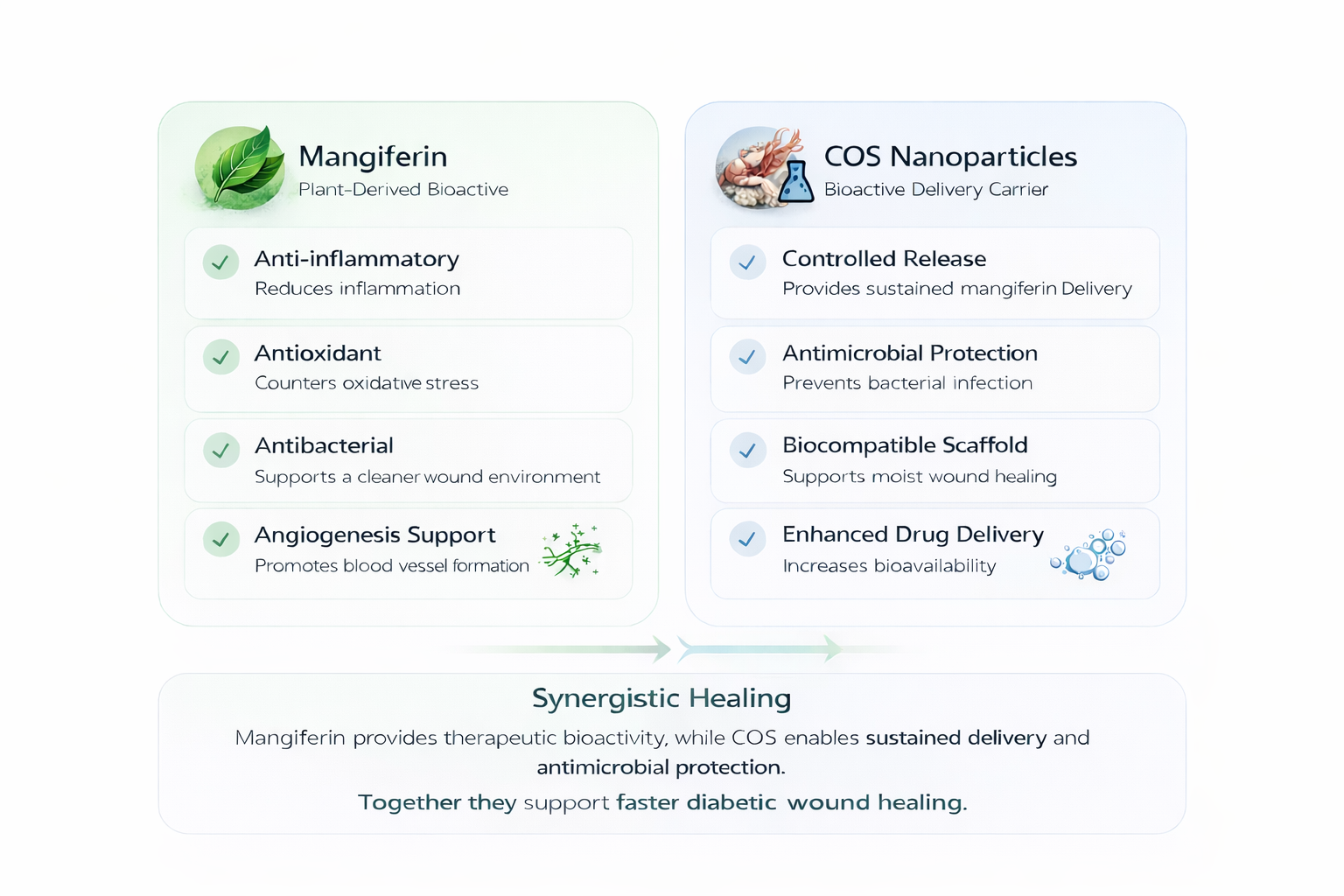 Bioactive Patch MangiCare — Nano-Encapsulated Hydrogel for Diabetic Wound Care